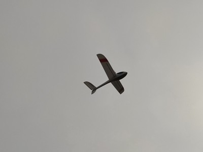 IMG_20231111_125316.jpg