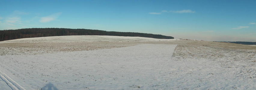 DSC_0039.jpg