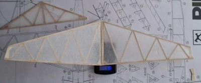 ePINTO váha křídla - potah vliesem bez laku.jpg