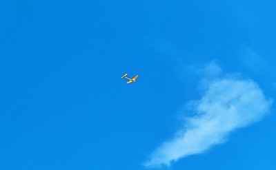 IMG_20260522_100237.jpg