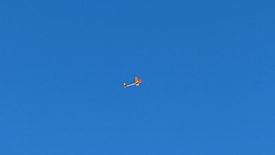 IMG_20260522_100249.jpg