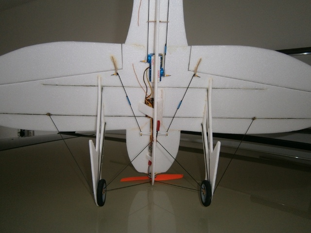 P1121190.JPG
